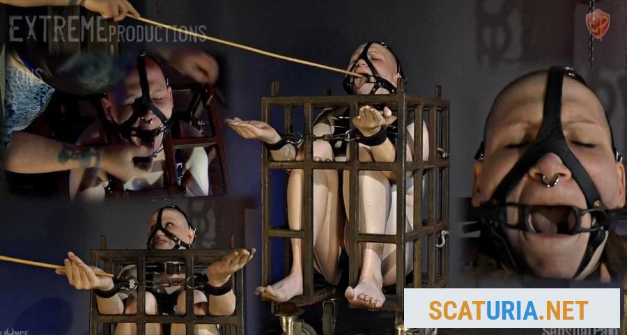 Ring-gag slaves (Quality: HD 720p / 196.36 MB) 16 April 2024