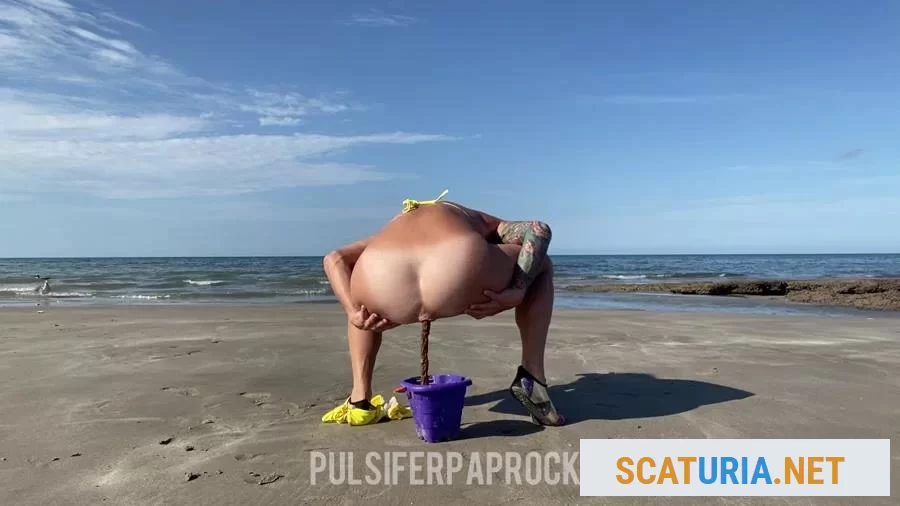 PulsiferPaprocki - Beach Bucket Poopd (FullHD 1080p / 98.6 MB)  2024