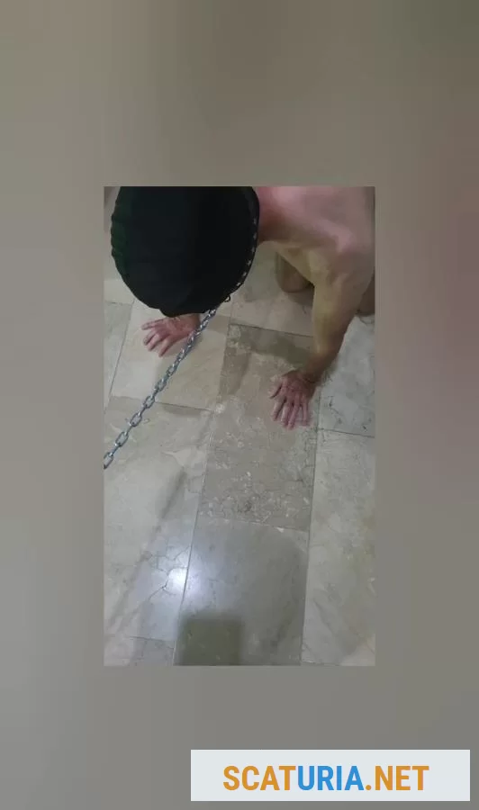 Toilet slave, saco al esclavo de la reja para usarlode (FullHD 1080p / 147.91 MB) 16 April 2024