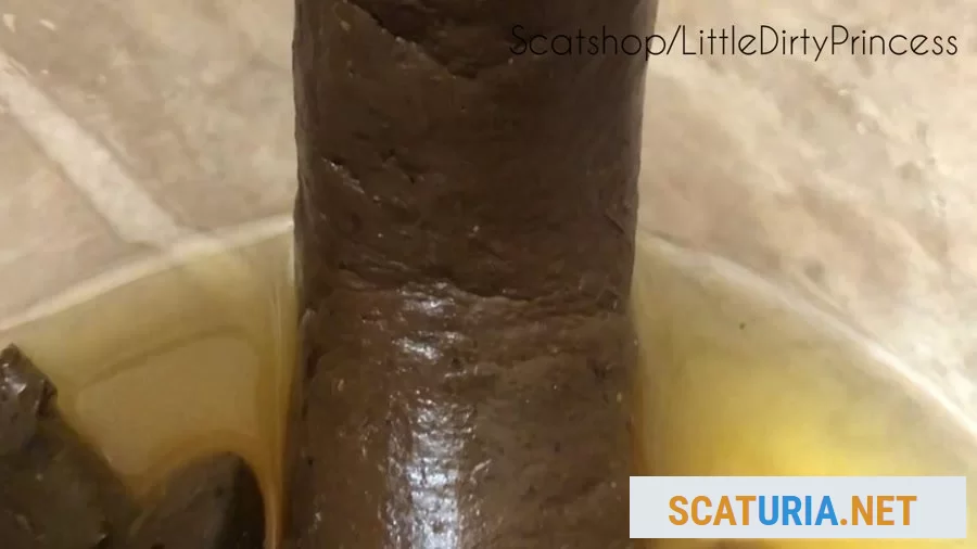 LittleDirtyPrincess - Long thick poop served in a bowl of pee for you (FullHD 1080p / 609 MB)  2024