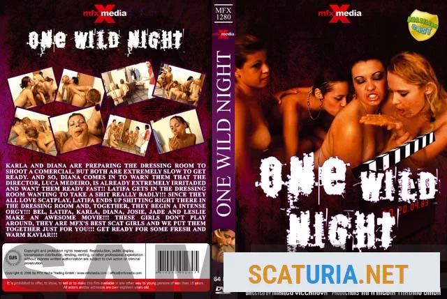 Latifa, Karla, Bel, Diana, Leslie, Josie, Jade - MFX-1280 One Wild Night (DVDRip / 700 MB)  2024