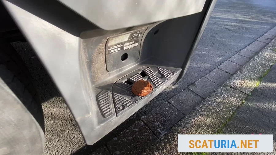 Devil Sophie - OMG - how does the shit get onto the truck running board (UltraHD 4K / 338 MB)  2024