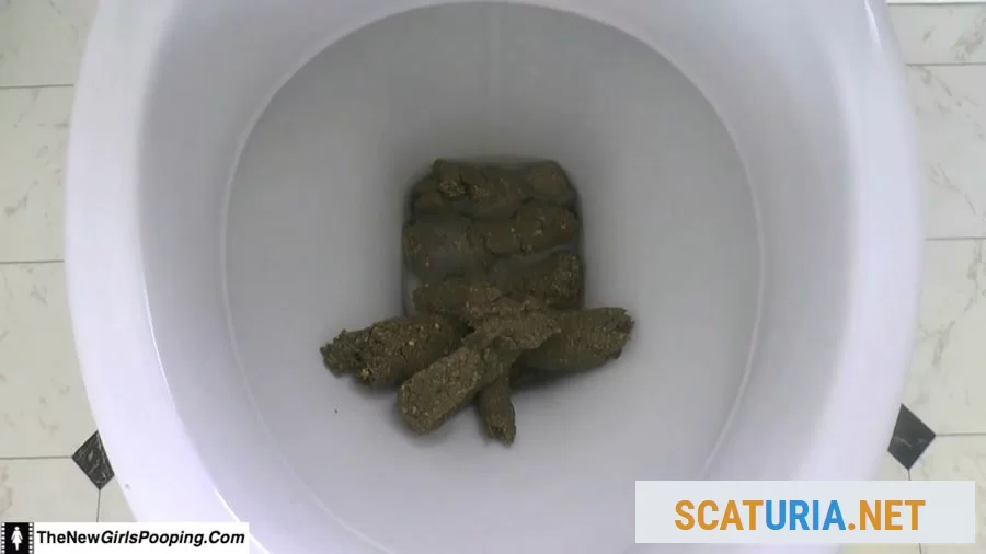 ShitGirl - Toilet Destroyed In 5 Mins (FullHD 1080p / 471 MB)  2024