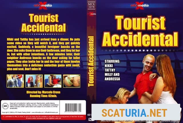 Nikki, Tatthy, Andressa, Milly - Tourist Accidental (DVDRip / 224 MB)  2024