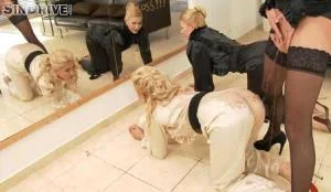 TRUE BLONDES.TRUE BEAUTIES.TRUE BEAVER BANDITS (HD 720p / 1.02 GB)  2024