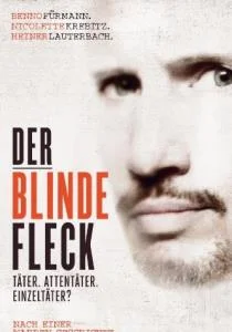 Der blinde Fleck (2013) (FullHD 1080p / 236.89 MB)  2025