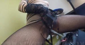 Meals On Heels Fart Appetizers Piss Cocktails (FullHD 1080p / 182.56 MB)  2025