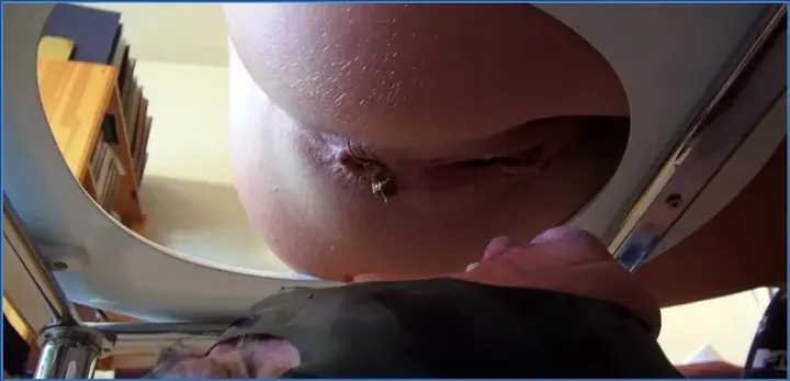 Feces Feast - Lady Amy in Eat Shit and Vomit Slave P1 HD 720p - scat porn video at Scaturia.net