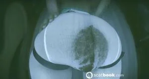 SCAT Show Presence (HD 720p / 86.16 MB)  2025