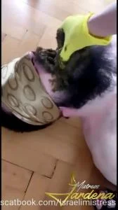 Scat lunch for my dirty slut (SD / 32.0 MB) 12 May 2025