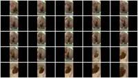 Gassy Diarrhea (FullHD 1080p / 237 MB) - ScatUria