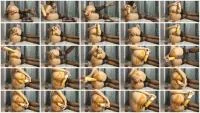 So horny dildo anal with a lot of Shit (FullHD 1080p / 257 MB) - ScatUria