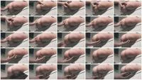 A Shit In a Customers Hand (HD 720p / 6.85 MB) - ScatUria