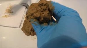 Worship And Feeding (SD / Amateur, Defecation)