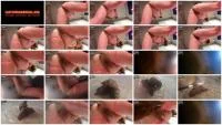 Shit On Your Face (FullHD 1080p / 500 MB) - ScatUria