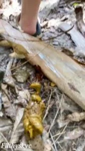 Shitting Girl 64 (SD / Gape, Scat Wife)