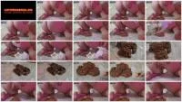 Quickie Scat (FullHD 1080p / 119 MB) - ScatUria