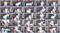 Dirty Baby Girl (FullHD 1080p / 182 MB) - ScatUria