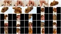 Doggy Dump - Treasure Hunt (FullHD 1080p / 873 MB) - ScatUria