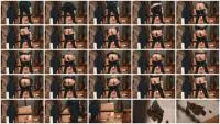 Attic Shit (HD 720p / 15.4 MB) - ScatUria