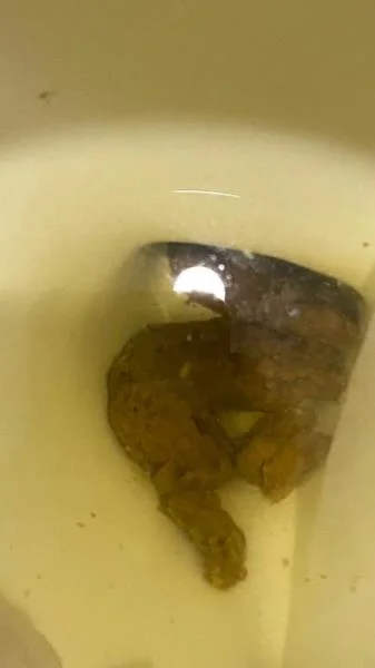 Shitting On The Bathroom Floor At Work (SD / 347 MB) 26 September 2025