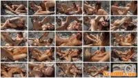 - Beauties Bloom Brown Blossoms (FullHD 1080p / 1.33 GB) - ScatUria