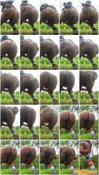 NastyAzzLaLa - A natural process of pooping and peeing (UltraHD 2K / 120 MB) - ScatUria