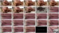 Shit Birth (FullHD 1080p / 681 MB) - ScatUria