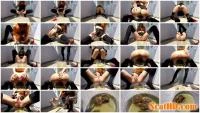 Marcos579 - Smelly Shit On The Bowl (HD 720p / 912 MB) - ScatUria