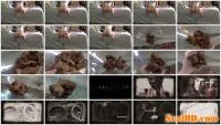 Amateur - Poop 13 (FullHD 1080p / 253 MB) - ScatUria