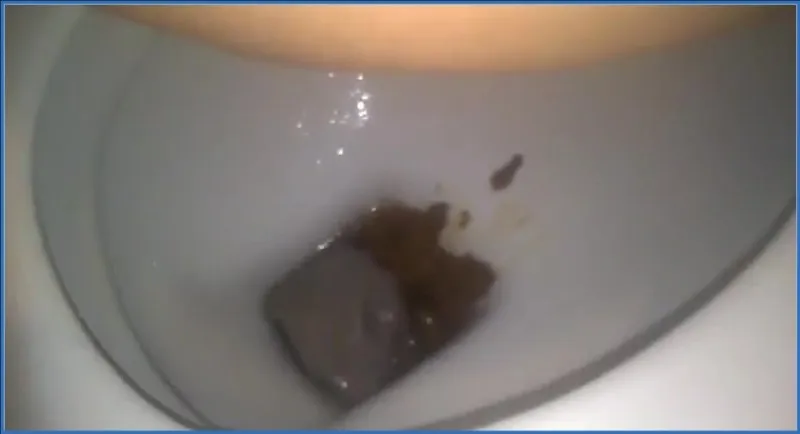 Download HotDirtyIvone - Sarah, Peeing and Farting in A Public Toilet Scaturia.net