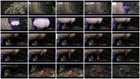 Neighbor's Fence (HD 720p / 11.2 MB) - ScatUria