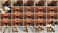 2 Shits In 1 Day (FullHD 1080p / 302 MB) - ScatUria