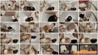 DemonaDragon - Miss Demona’s Filthy Buffet (HD 720p / 726 MB) - ScatUria