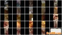 SmellyVany - Smelly Part 1-2 (FullHD 1080p / 1.46 GB) - ScatUria