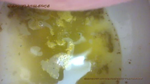 Sexy Flatulence - Diarrhea In The Toilet (FullHD 1080p / Milf, Solo)