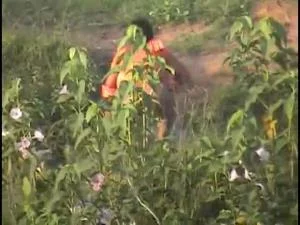 Indian Pissing (SD / 85.4 MB)  2025