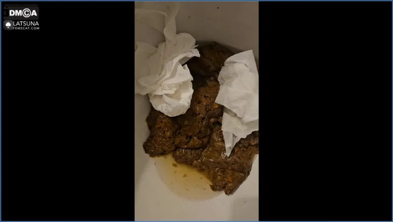 Grubby Stool Swirl - Lady Tsunam in Toilet Miracle - scat porn video at Scaturia.net