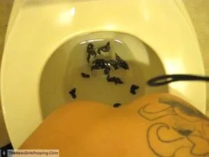 Kylie - Scatting Girl - 2 (SD / Milf, Homemade)
