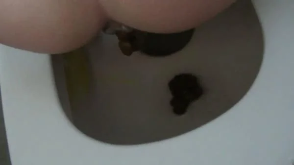 KV As Desired On The Toilet (FullHD 1080p / Austria, Milf)