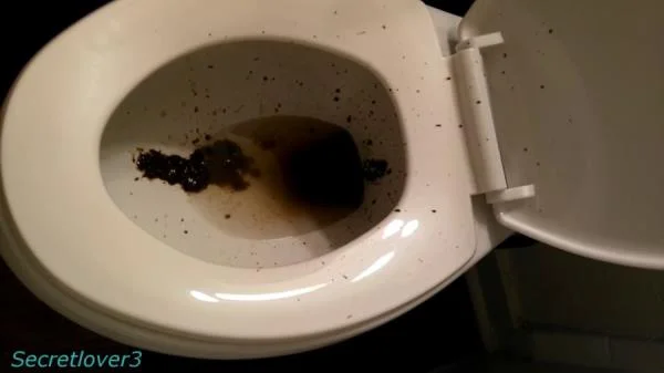 Toilet Spray (FullHD 1080p / Poop, Amateur)