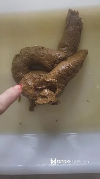 Toilet Pov - Hoy He Hecho Este Delicioso Pastel De Mierda (UltraHD 2K / Solo, Toilet Slavery)