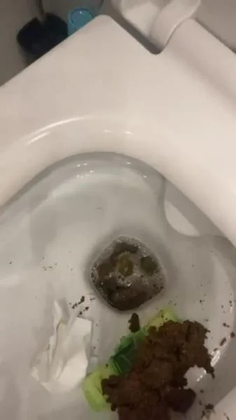 Daily portion of shit for my bitches (SD / Kaviar, Humiliation)