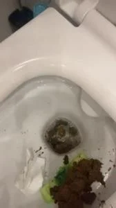 Daily portion of shit for my bitches (SD / Kaviar, Humiliation)