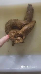 Toilet Pov - Hoy He Hecho Este Delicioso Pastel De Mierda (UltraHD 2K / Solo, Toilet Slavery)