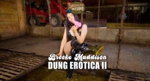 Scat Dung Erotica 2 (HD 720p / Cow Shit Fetish)