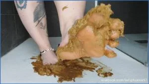 Shit flavour feet (HD 720p / 63.67 MB)  2026