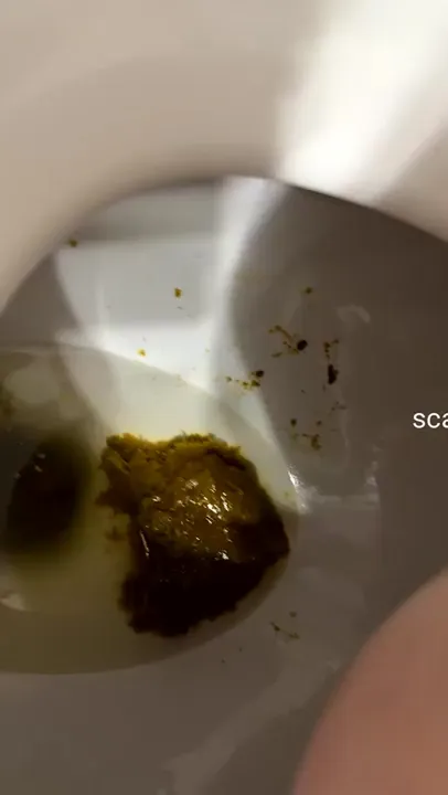 SaraBee Delivers a Rough and Quick Scat Fetish Flash Drop Solo - scat porn video at Scaturia.net