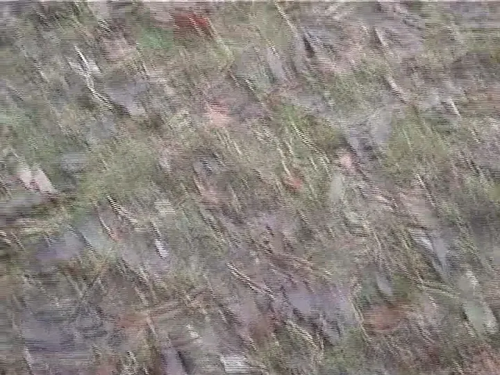 Messy Smearing and Natural Defecation - A Quick and Dirty Scat Clip - scat porn video at Scaturia.net